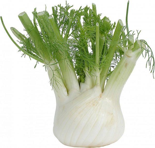 Fennel (Photos.com)