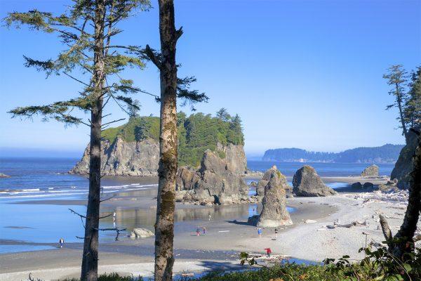 Ruby Beach, Olympic National Park, Washington. (Courtesy of Olympic Peninsula Visitor Bureau)