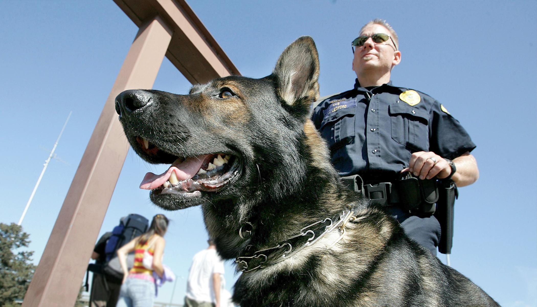 City Questions Donation of Police Dogs From Company With Same Name as Hitler’s Bunker