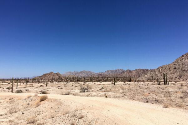 A remote desert area on the Barry M. Goldwater bombing range by the U.S.–Mexico border east of Yuma, Ariz., on May 23, 2018. (Charlotte Cuthbertson/The Epoch Times)