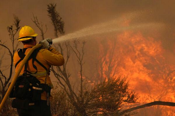 Jesse Vasquez, of the San Bernardino County Fire Dept., hoses down hot spots from the Bobcat Fire in Valyermo, Calif., on Sept. 19, 2020. (Marcio Jose Sanchez/AP Photo)