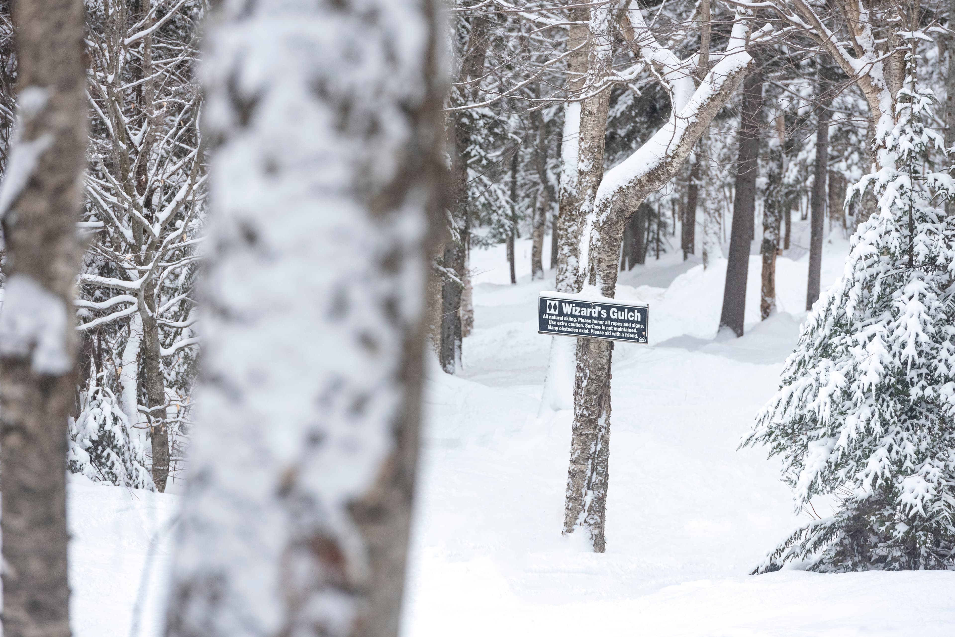 A view of the expert glade Wizard’s Gulch. Sunday River is known for both is diverse trails for all ability levels, as well as the clever trail names, such as the beginner trail Moonstruck, the intermediate trail Cascades, and expert trails Chutzpah and iCaramba! (Sunday River)