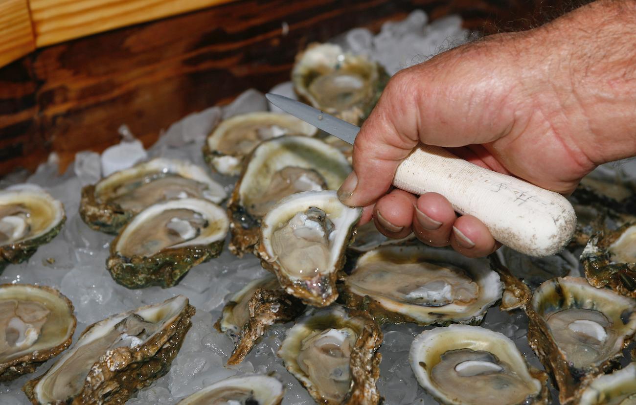 11 Norovirus Cases Linked to Frozen South Korean Oysters: San Diego County