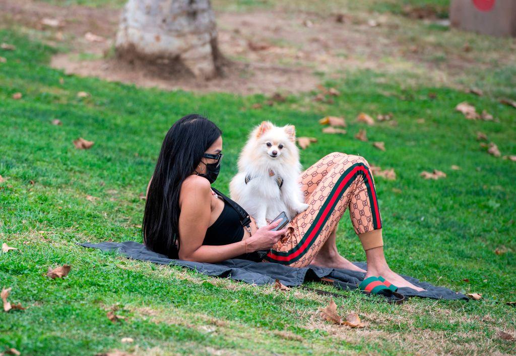 You’re in a Pasadena Park and Your Dog’s Unleashed? That'll Be $500