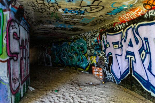 A wildlife crossing near the 5 Freeway in Irvine, Calif., on June 21, 2021. (John Fredricks/The Epoch Times)