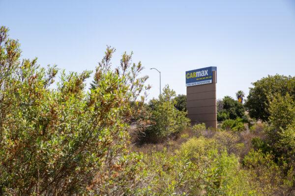 An animal crossing near the 5 Freeway in Irvine, Calif., on June 21, 2021. (John Fredricks/The Epoch Times)