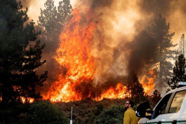 Firefighter Kyle Jacobson monitors the Sugar Fire, part of the Beckwourth Complex Fire, burning in Plumas National Forest, Calif., on July 9, 2021. (Noah Berger/AP Photo)