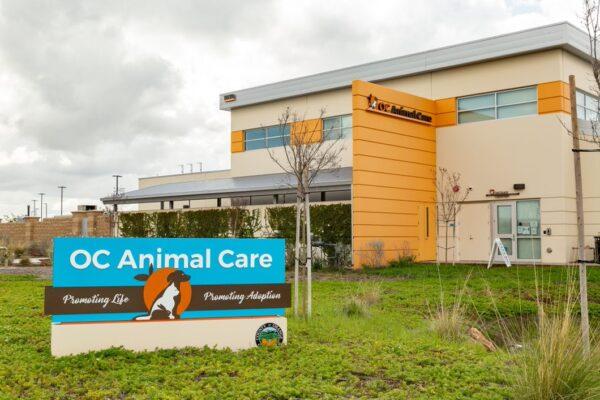 Orange County Animal Care in Tustin, Calif., on March 8, 2021. (John Fredricks/The Epoch Times)