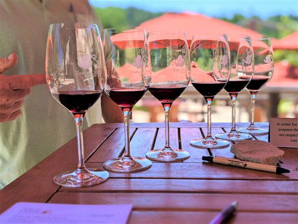 At Tablas Creek Vineyard in Paso Robles, California, guests enjoy tastings of Rhone-style wines. (Courtesy of Athena Lucero)