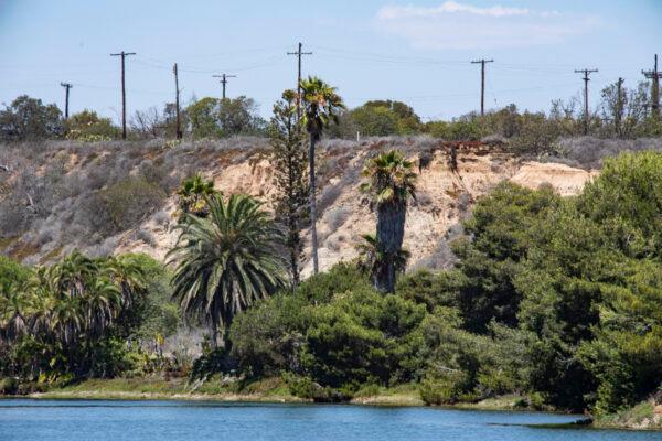 The Banning Ranch property area is seen from Newport Beach, Calif., on Aug. 9, 2021. (John Fredricks/The Epoch Times)
