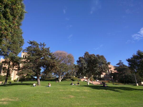 University of California—Los Angeles, in Los Angeles, Calif. (Emma Hsu/The Epoch Times)