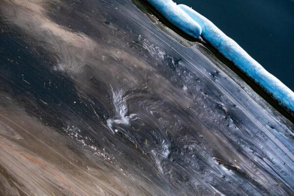 Clean up efforts are underway for an oil spill of the coastline of Orange County in Huntington Beach, Calif., on Oct. 4, 2021. (John Fredricks/The Epoch Times)