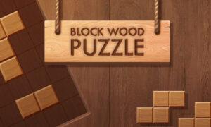 Block Wood Puzzle