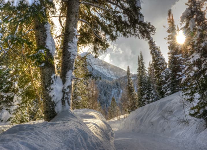 Beautiful morning to be driving and hiking in the mountains outside Salt Lake City, UT. (Cat Rooney)