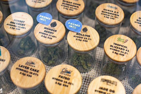 A file photo of cannabis samples in Santa Ana, Calif., on Feb. 18, 2021. (John Fredricks/The Epoch Times)