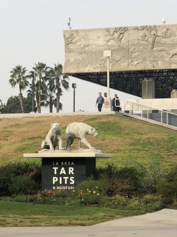 The museum at the La Brea Tar Pits in Los Angeles, California, contains instructional exhibits about animal life in prehistoric times. (Courtesy of Bill Neely)