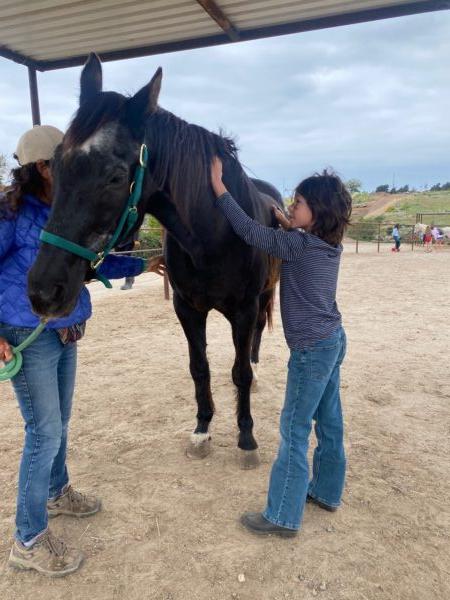 An undated picture of a horse meet and greet hosted by Free Rein Foundation at Huntington Central Park Equestrian Center in Huntington Beach, Calif. (Courtesy of Free Rein Foundation)