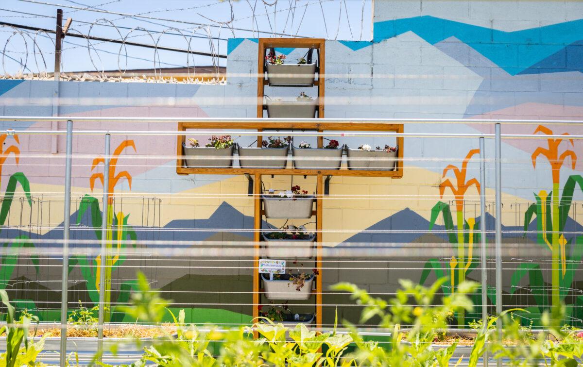 A standing garden in the shape of a cross sits on the outer wall at the Garden of Hope, located behind the Catholic Charities of Orange County in Santa Ana, Calif., on July 7, 2022. (John Fredricks/The Epoch Times)