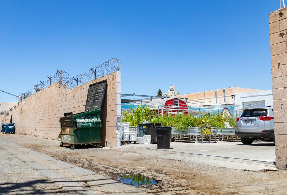 A woman walks down an alley outside of the Garden of Hope, located behind the Catholic Charities of Orange County in Santa Ana, Calif., on July 7, 2022. (John Fredricks/The Epoch Times)