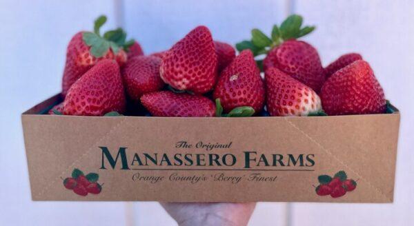 (Courtesy of Manassero Farms)