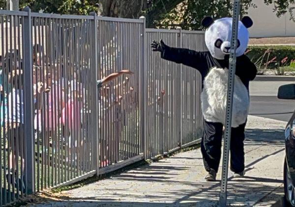 (Courtesy of "Panda Man")