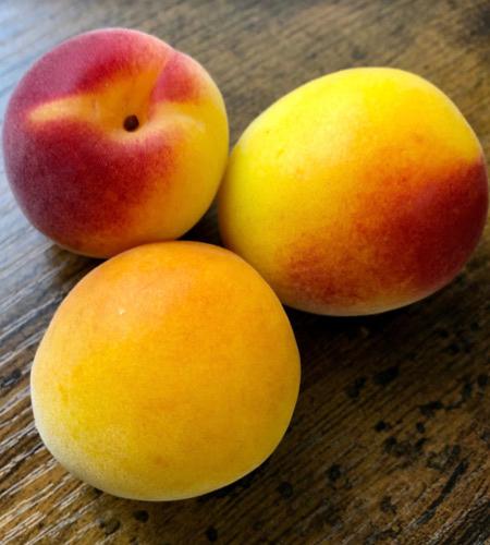 Fresh umeboshi. (Shutterstock)