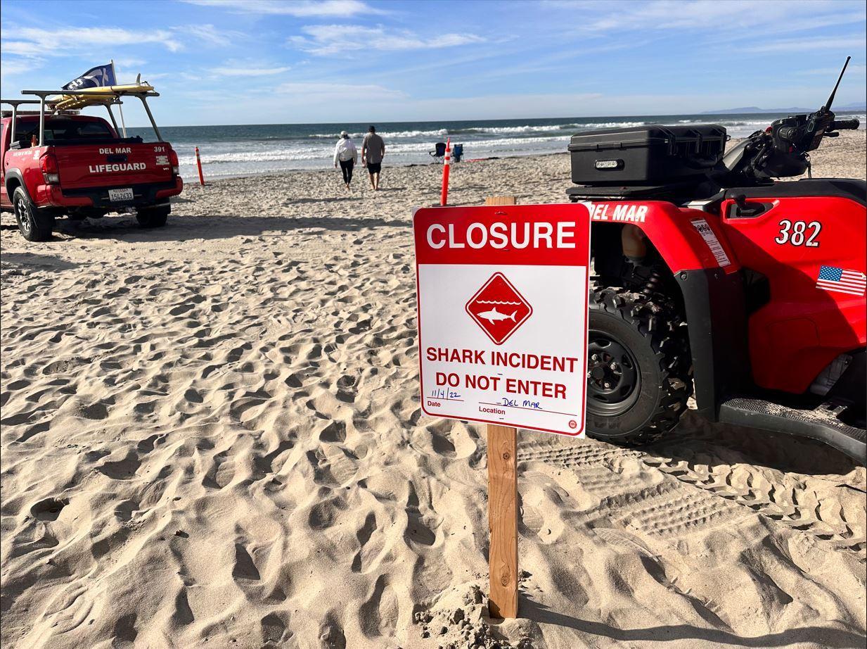 Del Mar Beaches Closed After Shark Attack