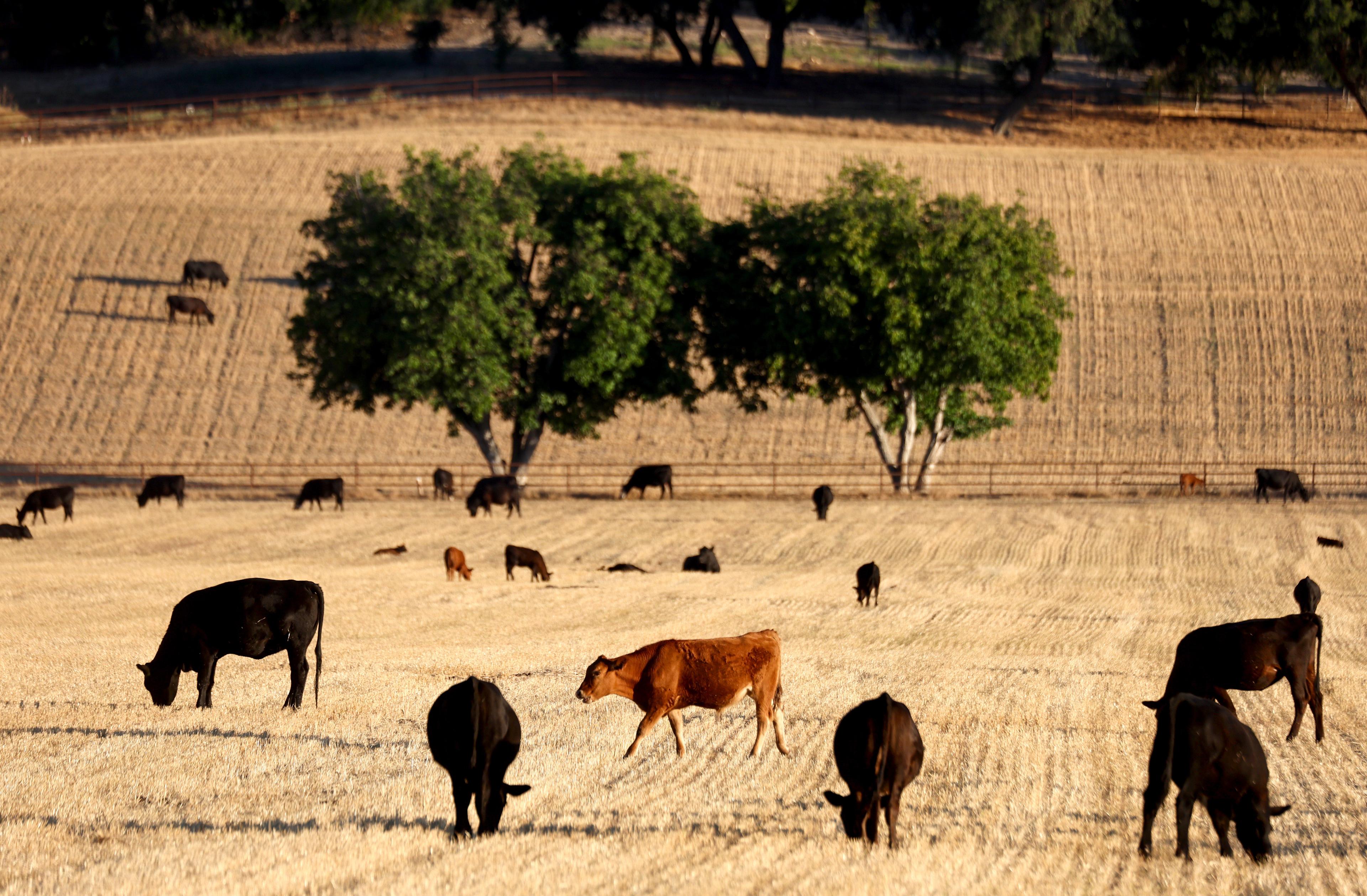 Drought Status Returns to California for First Time in 2024