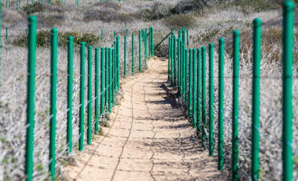 The Dana Point Headlands hiking area in Dana Point, Calif., on Nov. 16, 2022. (John Fredricks/The Epoch Times)