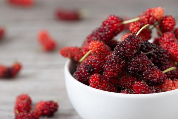 Mulberries (Regreto/Shutterstock)