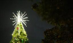 Tree Lighting Planned in South Los Angeles to Honor Slain Children