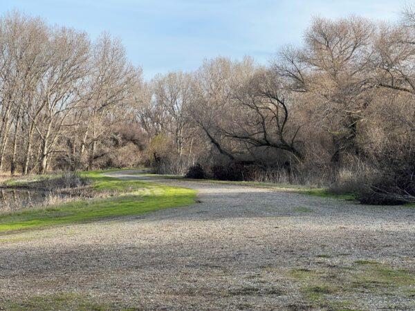A walking trail beckons in the San Luis NWR. (Courtesy of Karen Gough)
