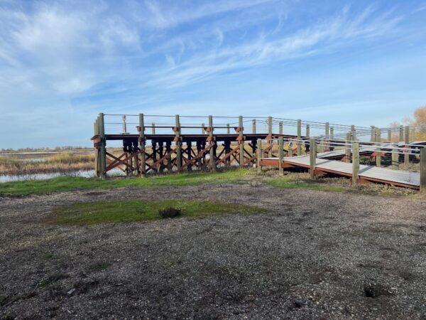 An observation deck allows viewing access to flocks of geese and swans. (Courtesy of Karen Gough)