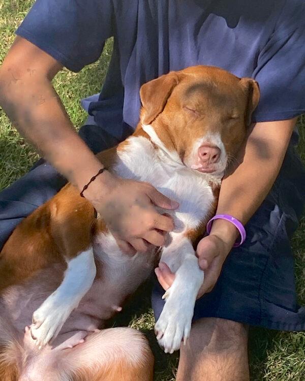 Polly. (Courtesy of Cell Dogs)