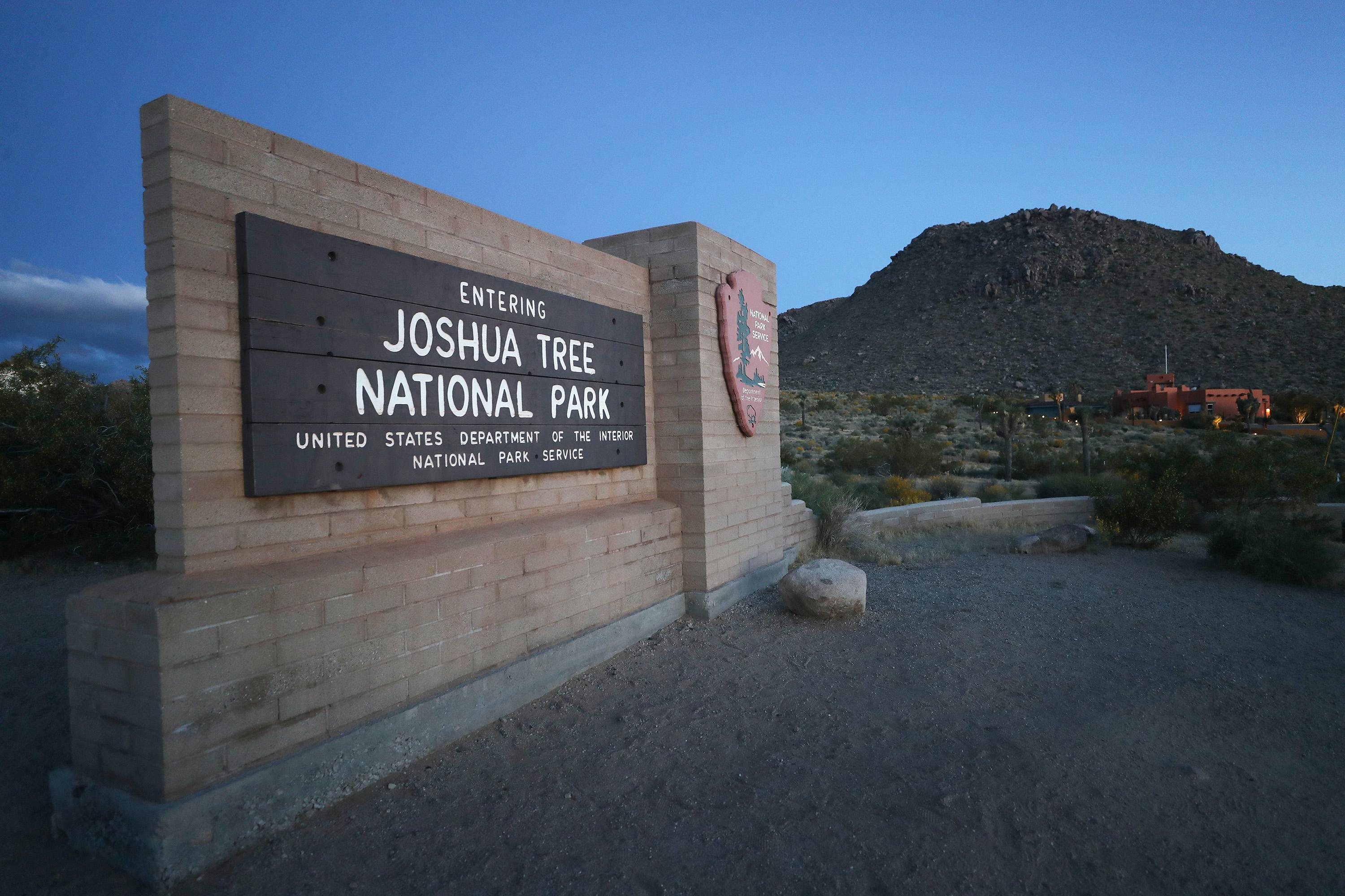 California Lawmakers Seek to Expand Joshua Tree National Park, Create New National Monument