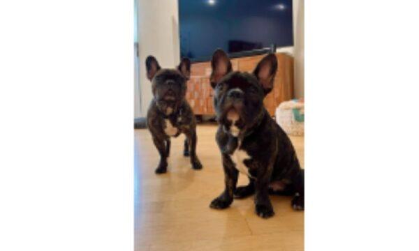 (Courtesy of the Los Angeles Police Department)