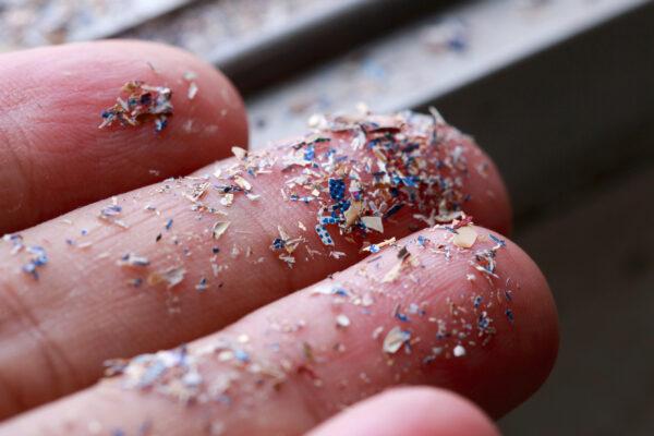 Plastics are found all around the world. (iStock/Getty Images Plus)