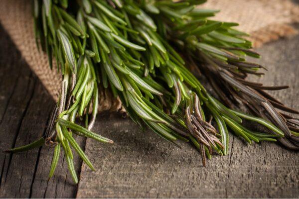 Rosemary (CreatoraLab/Shutterstock)