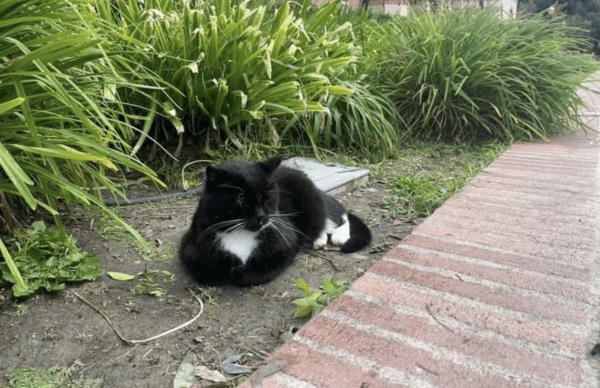 (Courtesy of Bridget Oz)