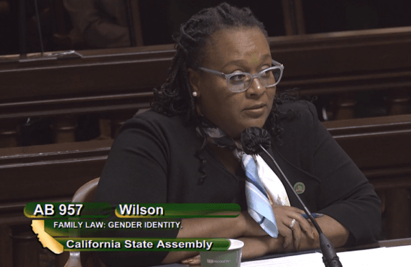 California Assemblywoman Lori D. Wilson speaks to the state Assembly Judiciary Committee in Sacramento on March 21, 2023. (California State Assembly/Screenshot via The Epoch Times)