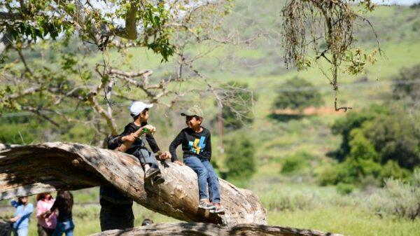 Caspers Wilderness Park in San Juan Capistrano, Calif. (Courtesy of OC Parks)