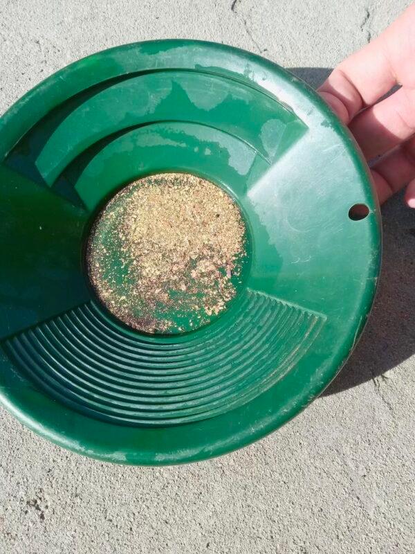 Gold flakes are found in the Klamath River. (Courtesy of the New 49'ers Prospecting Association)