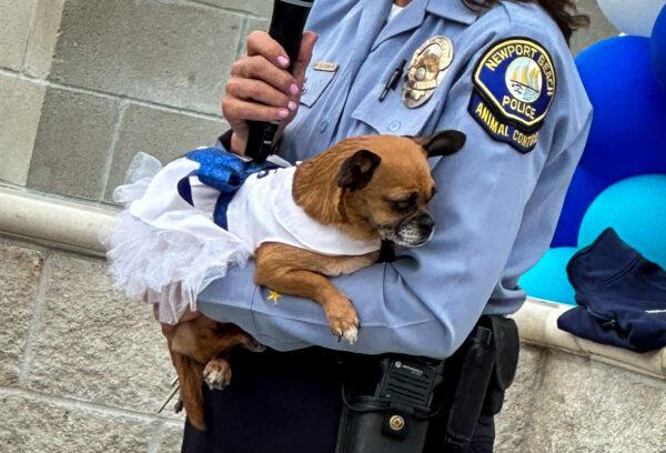 The Newport Beach Animal Shelter in Newport Beach, Calif., on May 25, 2023. (John Fredricks/The Epoch Times)