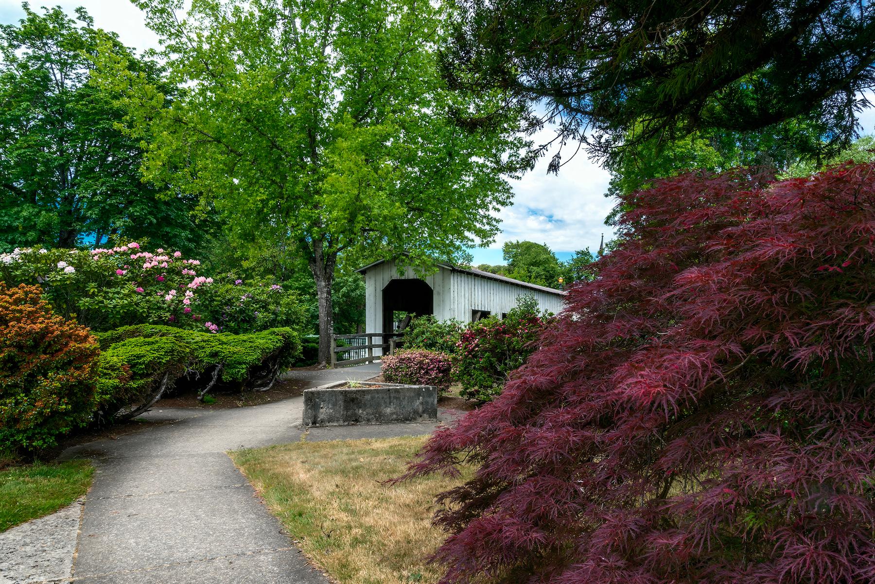 Centennial Bridge in Veterans Park in Cottage Grove, Ore. (Maria Coulson)