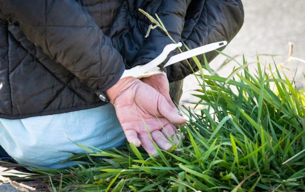 A man is taken into custody after police responded to an incident in a file photo. (John Fredricks/The Epoch Times)