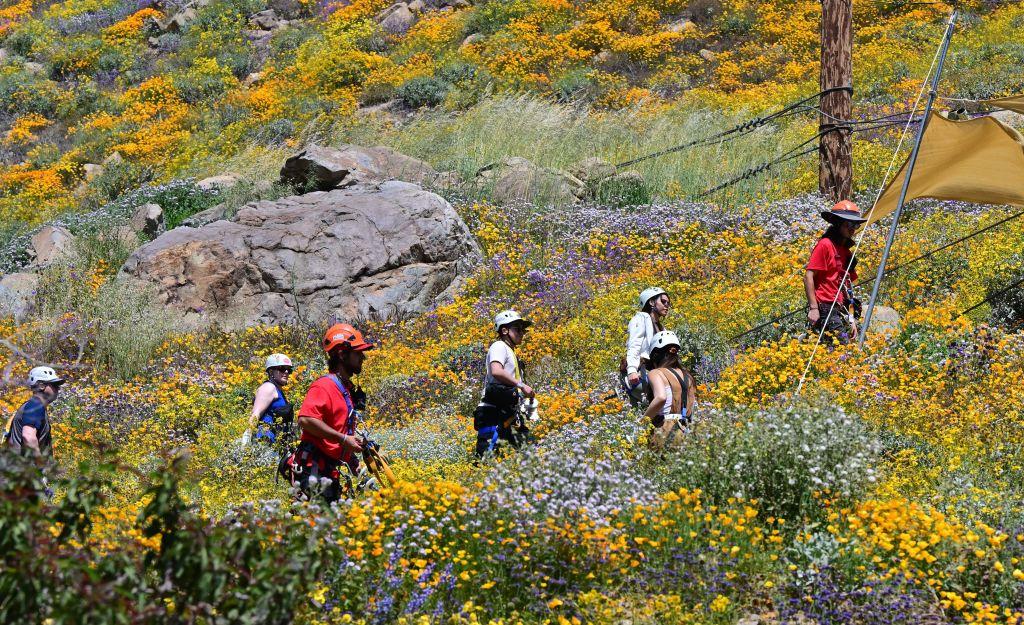 Hikers Warned of Wildlife Encounters in California State Parks During Summer