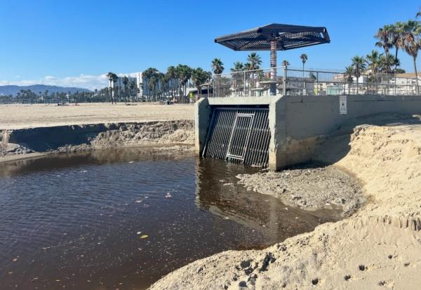 Sewage water is seen ponding near a storm drain at Venice Beach, near Santa Monica, Calif., one day after Tropical Storm Hilary made landfall, on Aug. 21, 2023. (Courtesy of Soledad Ursúa)