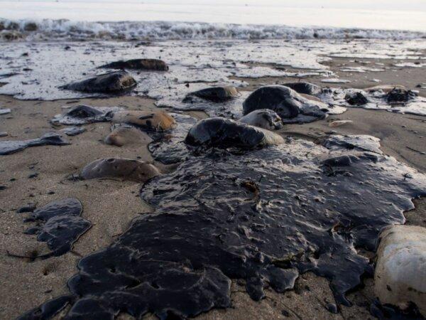 Oil covers rocks and sand at Refugio State Beach in Goleta, Calif., May 19, 2015. (Robyn Beck/AFP via Getty Images)