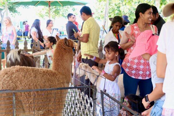 Children interact with animals at the petting zoo at the 22nd annual Irvine Global Village Festival in Irvine, Calif., on Oct. 14, 2023. (Sophie Li/The Epoch Times)