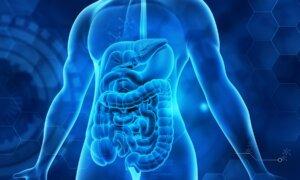 Antibiotics May Directly Damage Gut Barrier, Increase IBD Risk